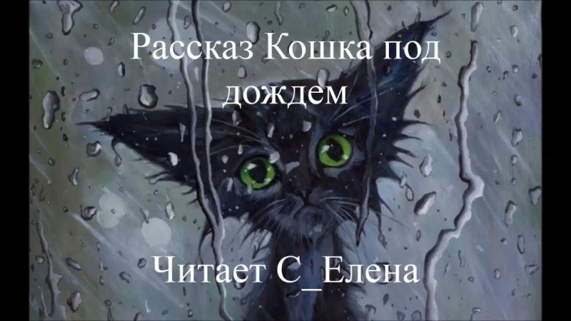 Эрнест Хемингуэй кошка под дождем