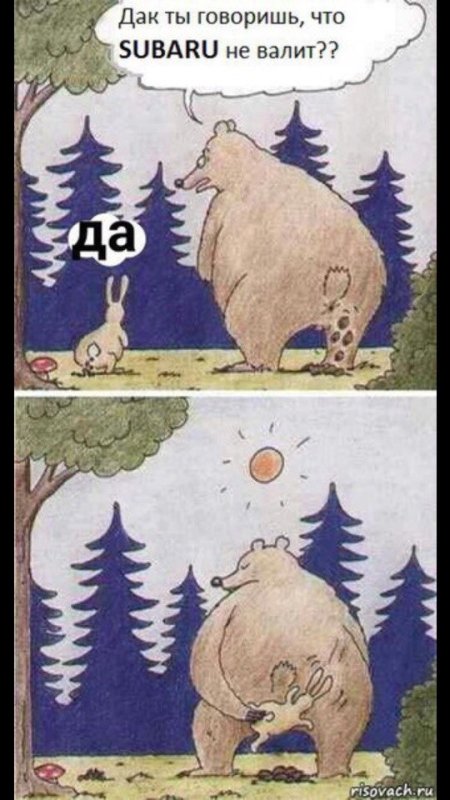 Медведь и заяц прикол