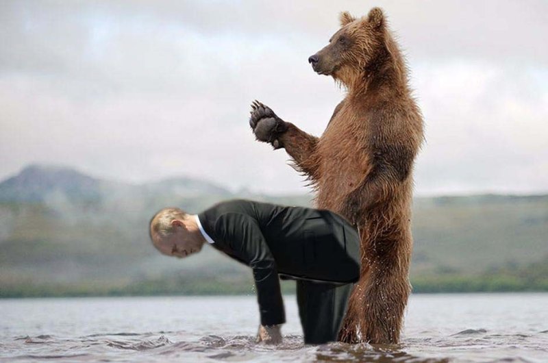 Putin на медведе