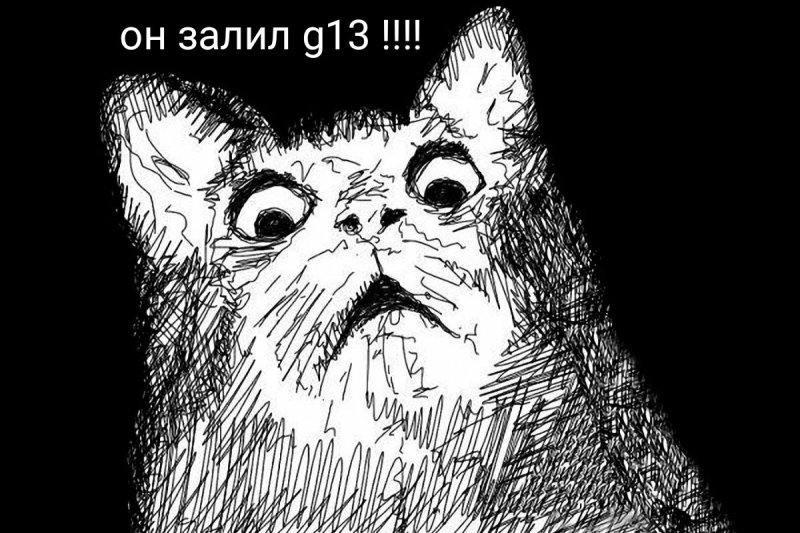 Офигевший кот