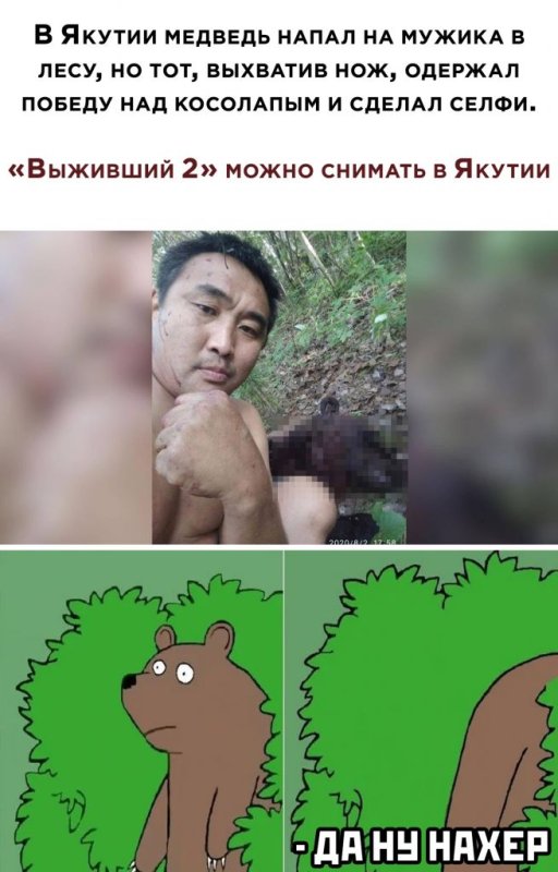 Медведь Мем