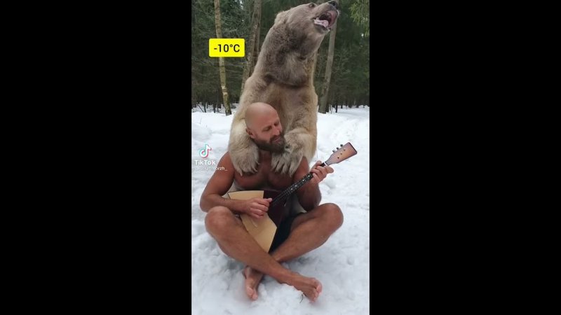 Медведь с балалайкой