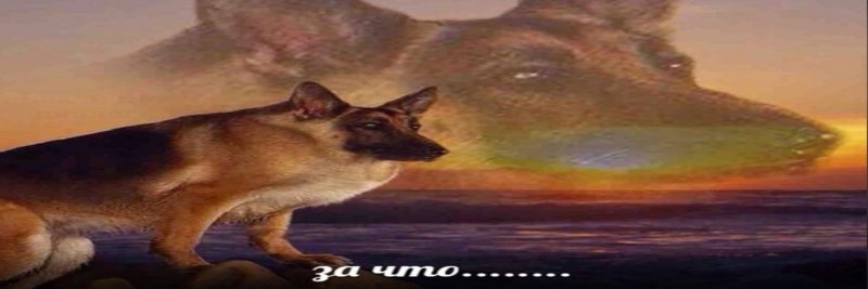 Макс иди на собака