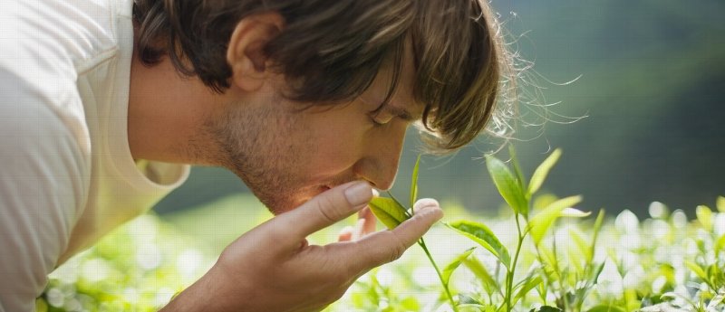 Вдыхает запах цветов