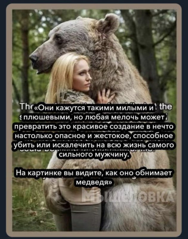 Медведь обнимает