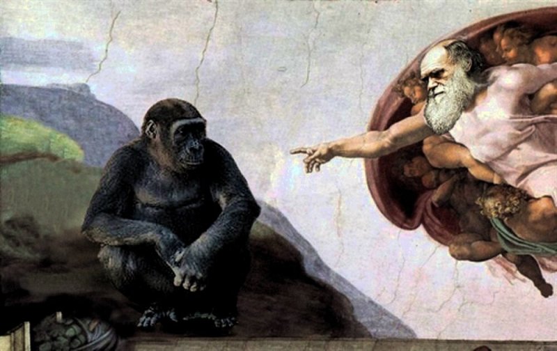 Чарльз Дарвин теория эволюции человека