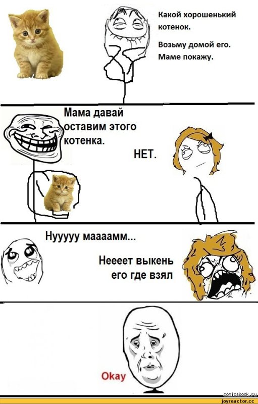 Смешные мемы про котиков