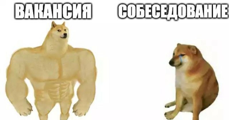 Собака Мем