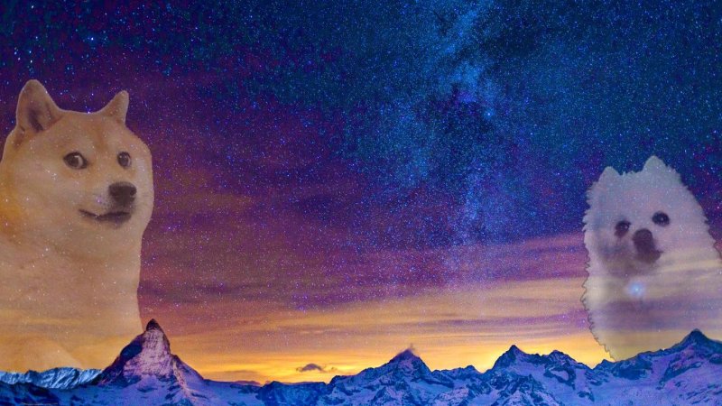 Доги в космосе