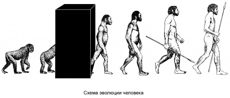 Зарождение человека