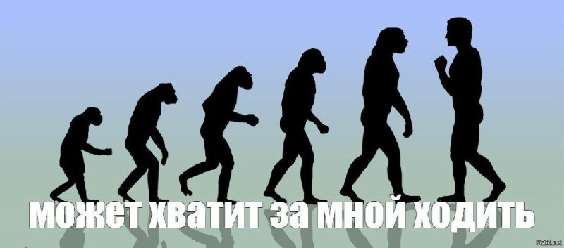 Развитие человека