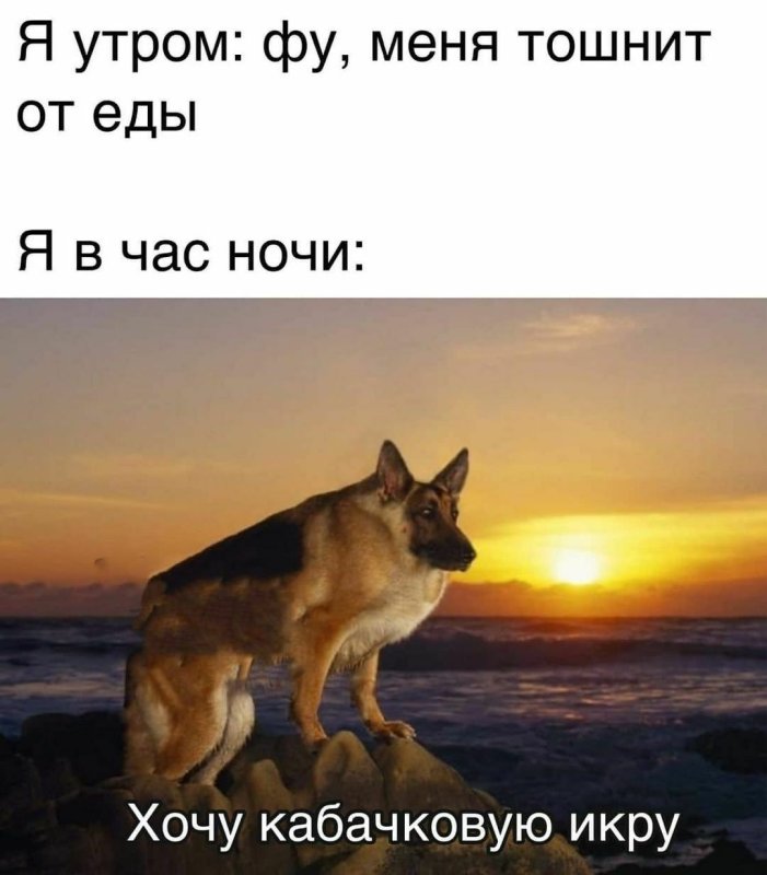 Макс идли наху