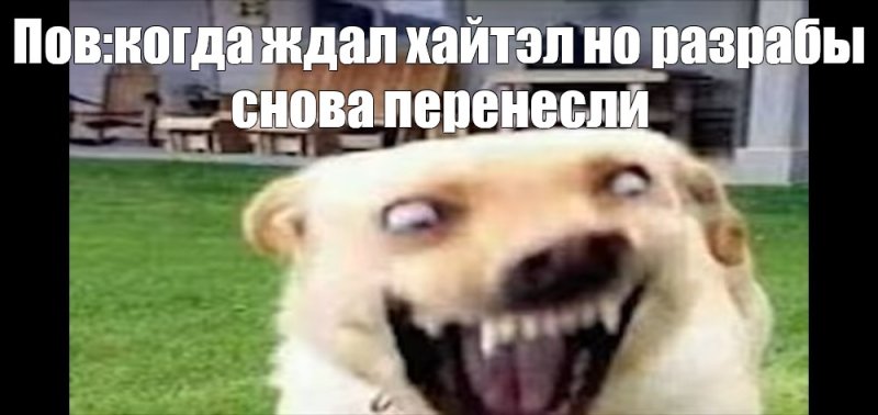 Кричащая собака