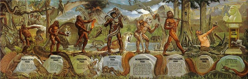 История развития человечества