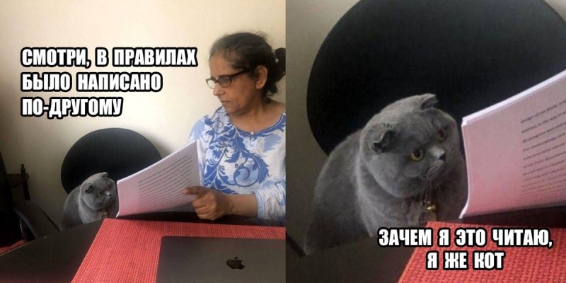 Кот с бумажками Мем