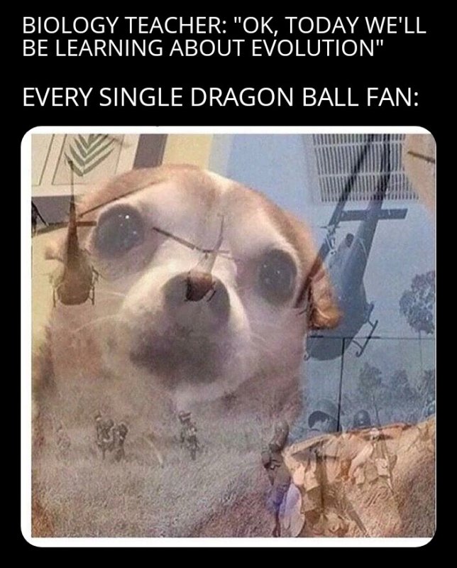 Вьетнамские флешбеки Мем с собакой