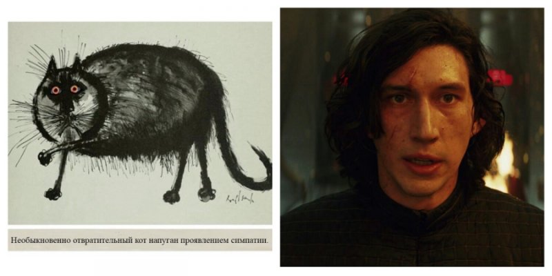 Необыкновенно уродливый кот напуган проявлением