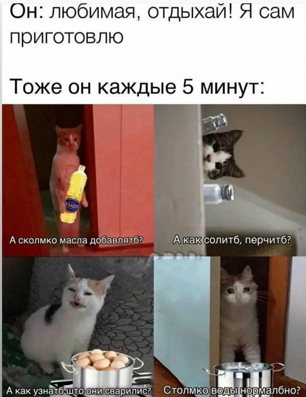 Смешной кот Мем