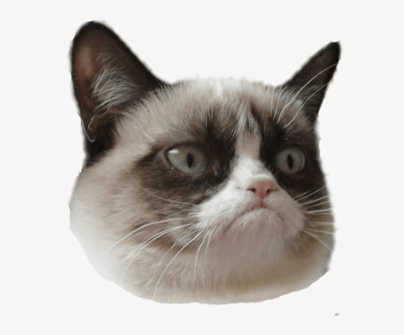 Грампи Кэт стикер