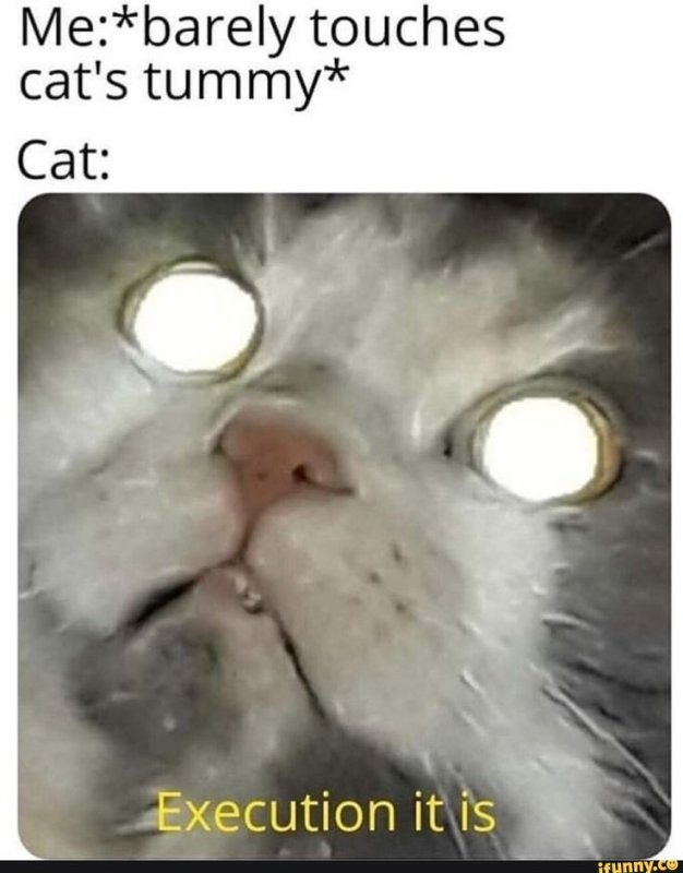 Значит ты выбрал смерть Мем