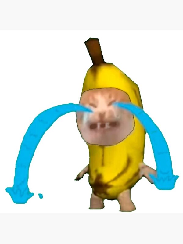 Кот банан