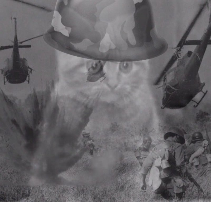 Флэшбэки Вьетнама