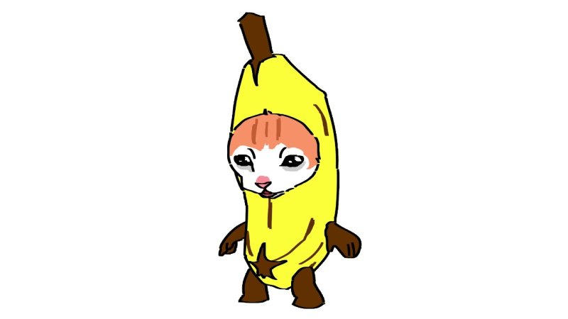 Кот в костюме банана Мем
