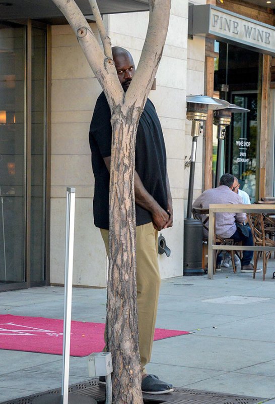 Чел прячется за деревом