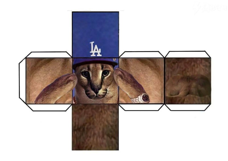 Развертка кота