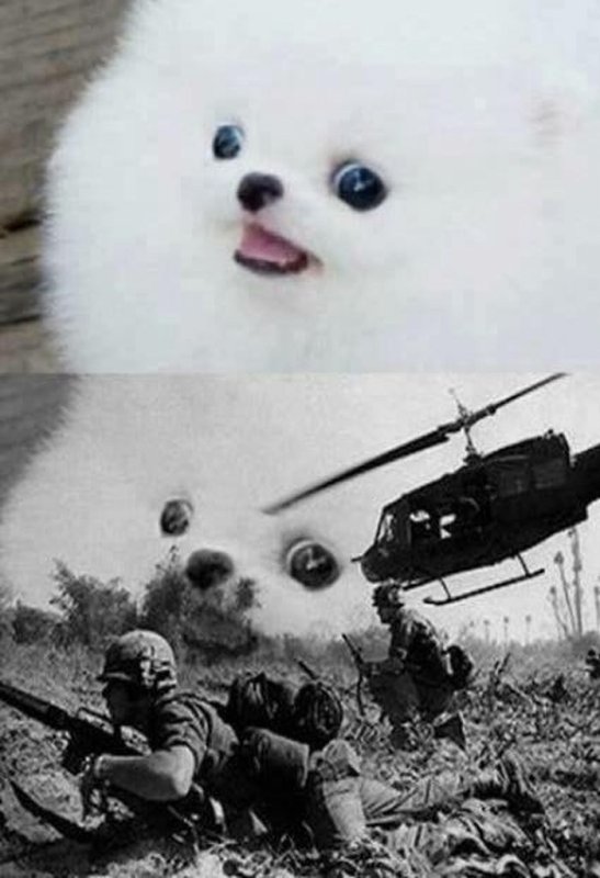 Сабабака флэхбек