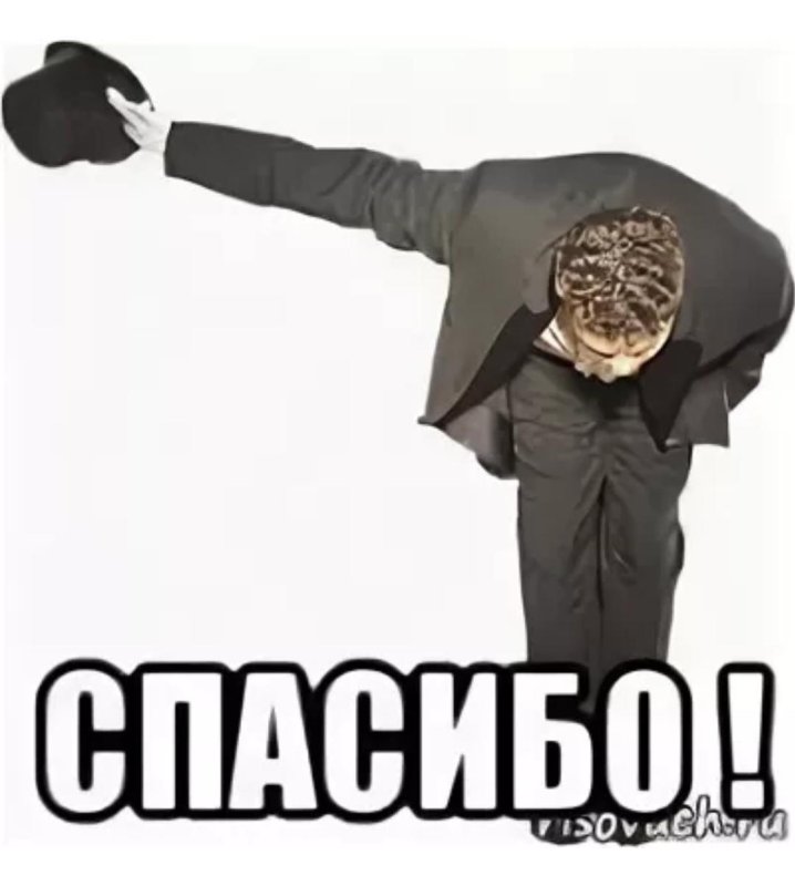 Поклон мемы