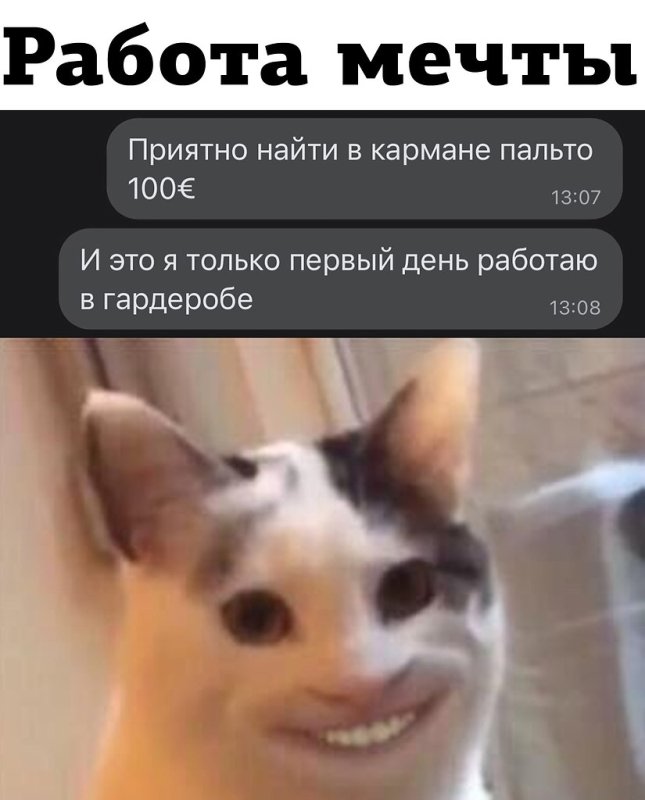 Кот улыбается Мем