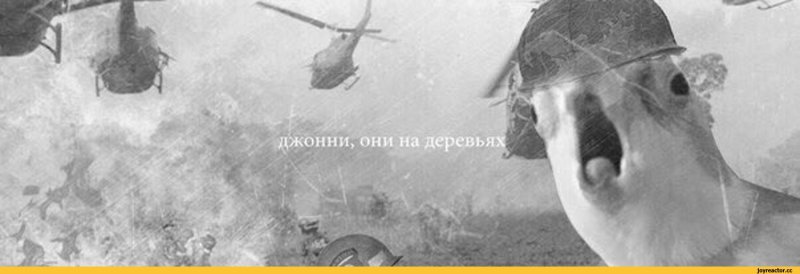 Вьетнамские флешбеки Джонни