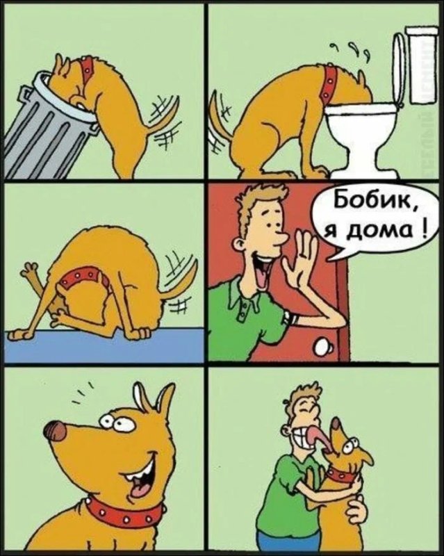 Смешные комиксы про собак