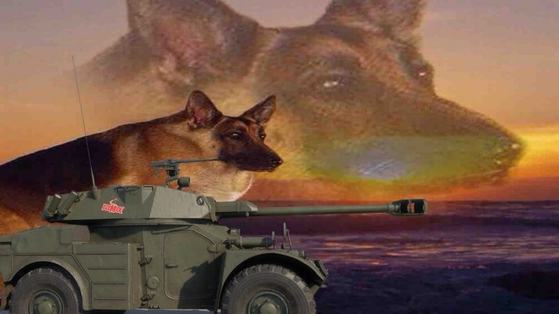 Овчарка иди Макс