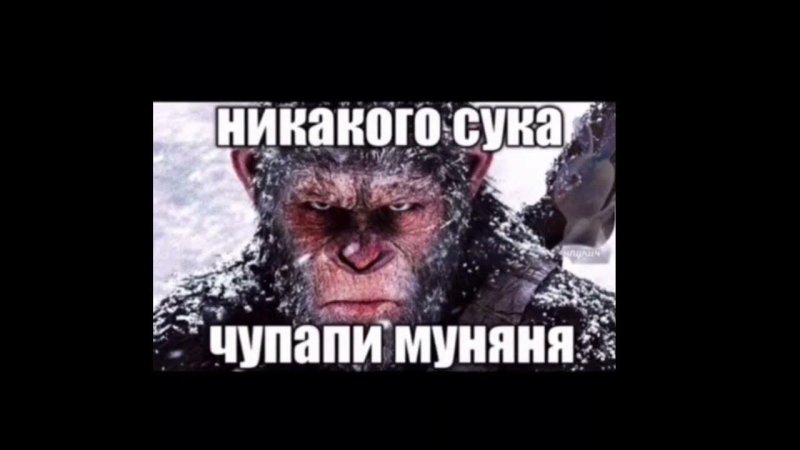 Мемы чупапи