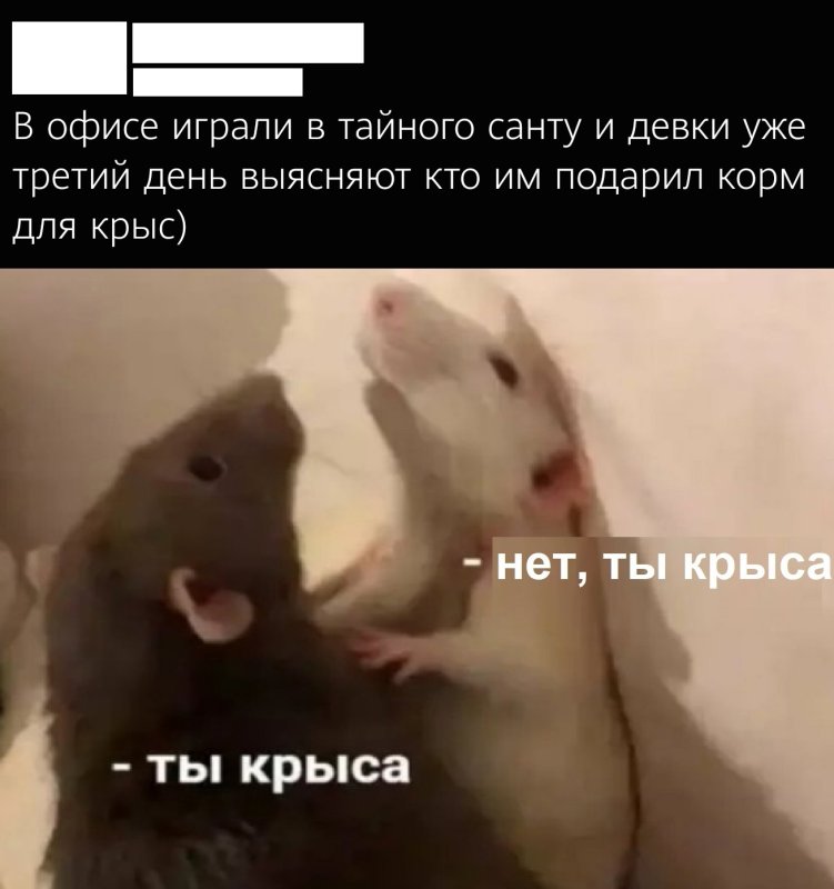 Держит крысу Мем