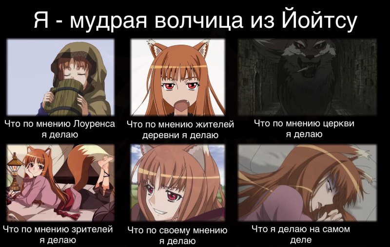 Реанимедиа волчица и пряности