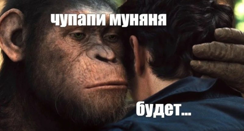 Чупапи муняня Мем