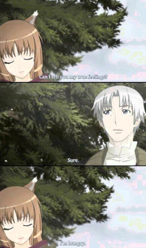 Аниме волчица и пряности мемы