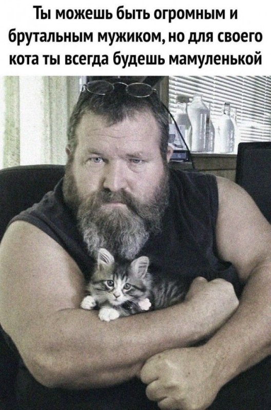 Брутальные мужчины с котиками