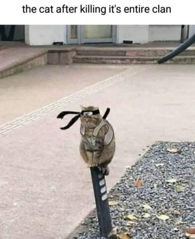 У самурая нет цели есть только путь