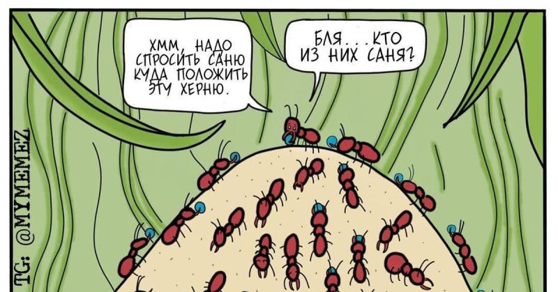 Смешной муравей