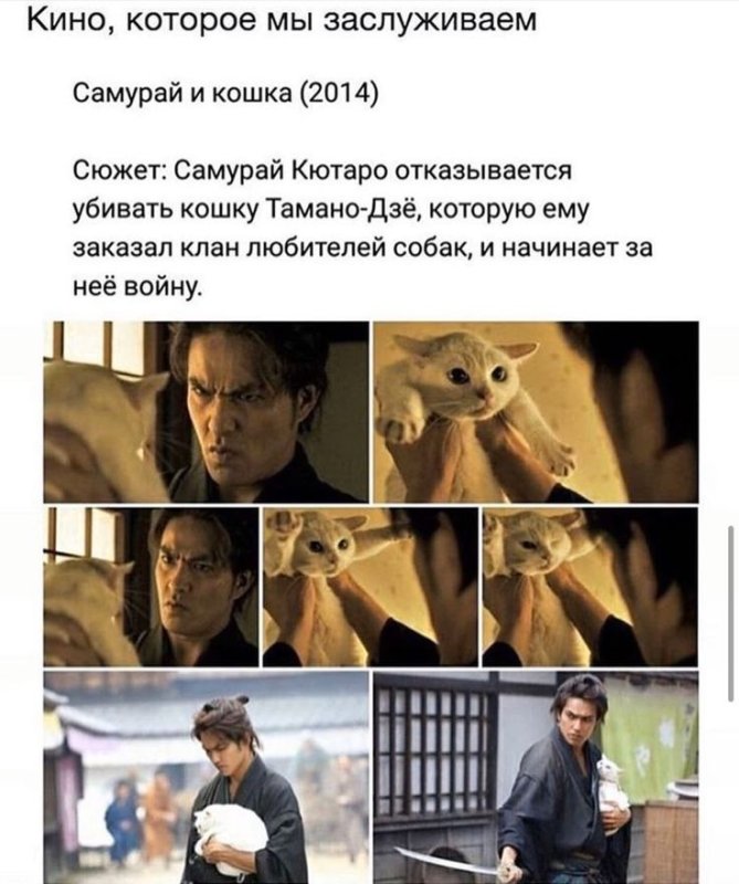 Собака Джон уик прикол