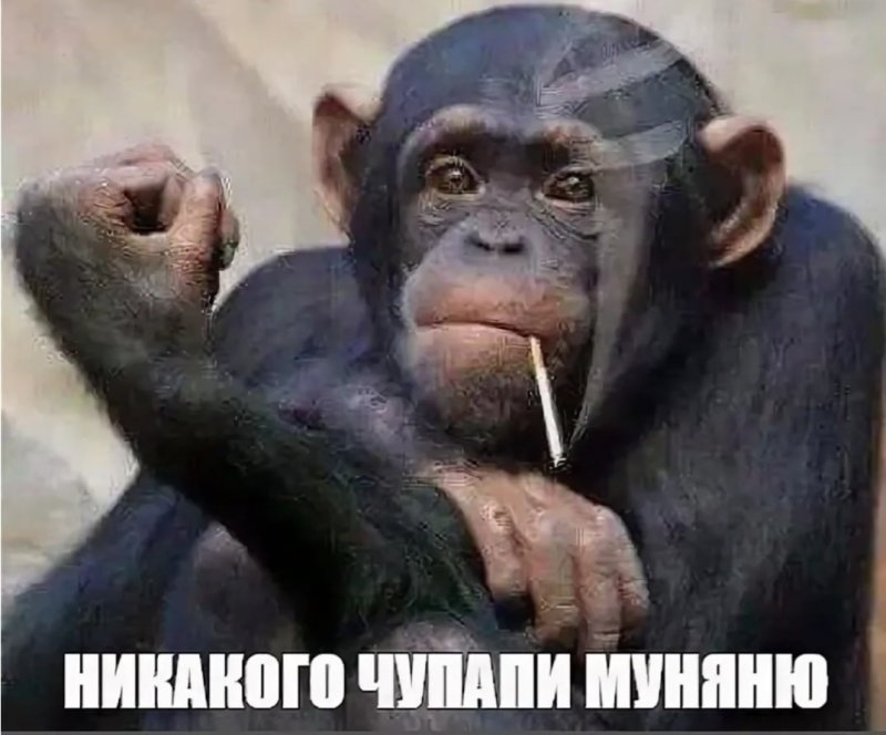 Обезьяна с сигаретой