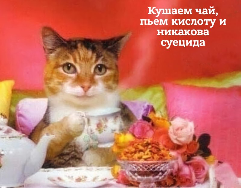 Пьём чай и никакого суецыда