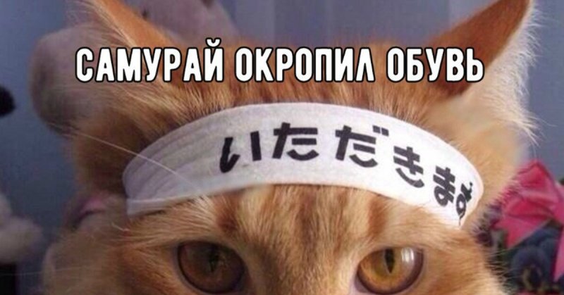 Звон бубенцов честь самурая