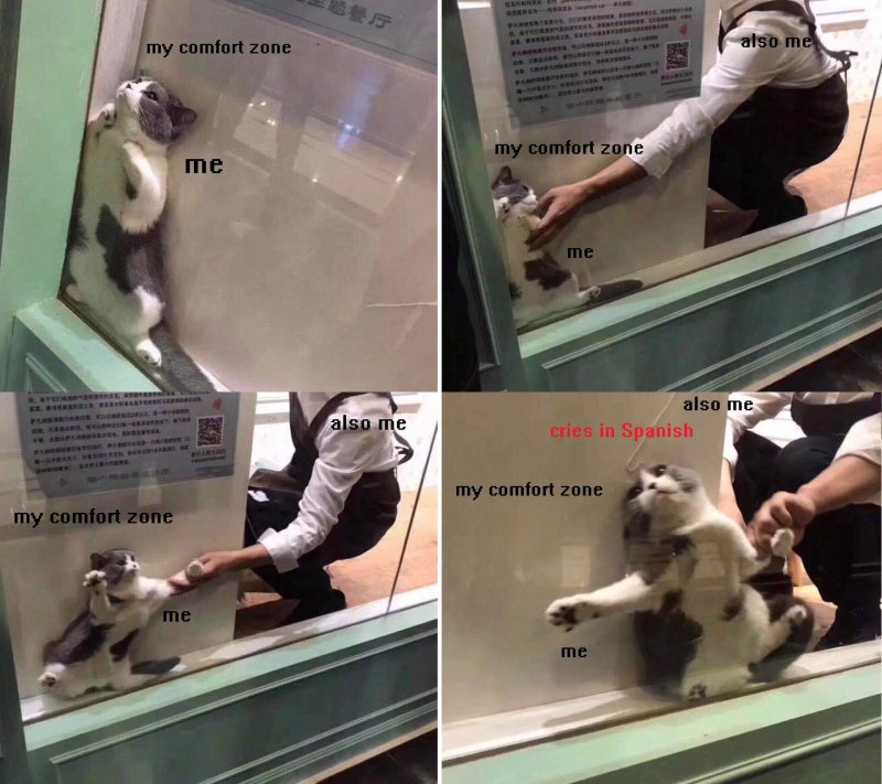 Мемы про выход из зоны комфорта