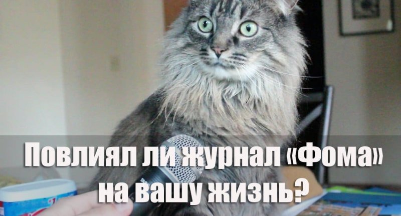 Где деньги какие деньги