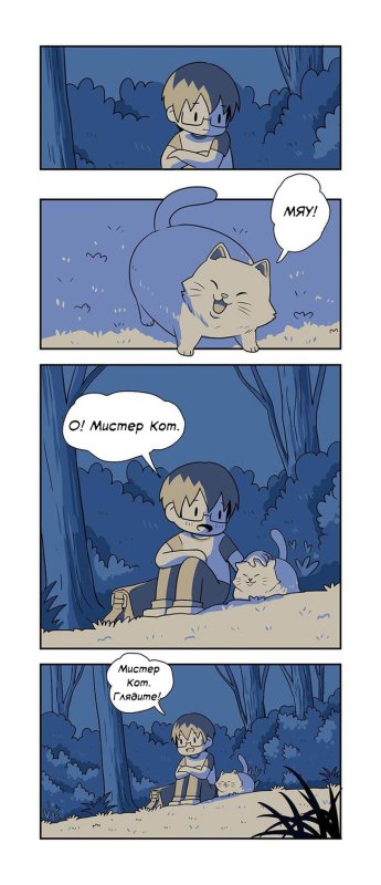 Господин кот